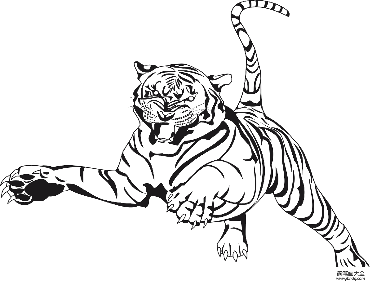 正在捕猎的老虎简笔画