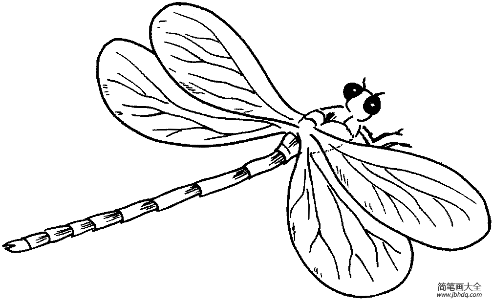 可爱的蜻蜓简笔画