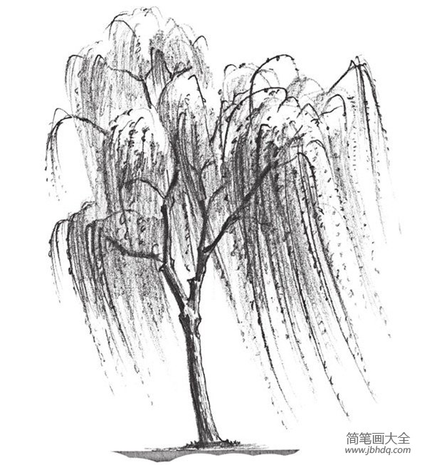 柳树的画法风景图片
