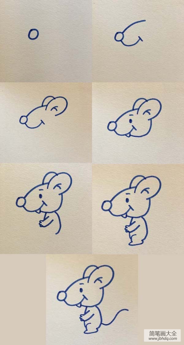 简笔画步骤老鼠图片