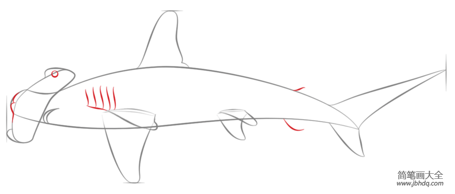 晓晓的锤头鲨的画法图片