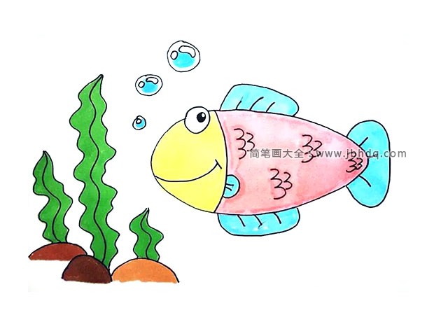 鱼的简笔画法海草图片