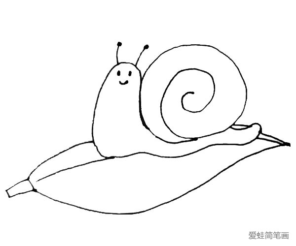 黄鹂鸟简笔画蜗牛图片