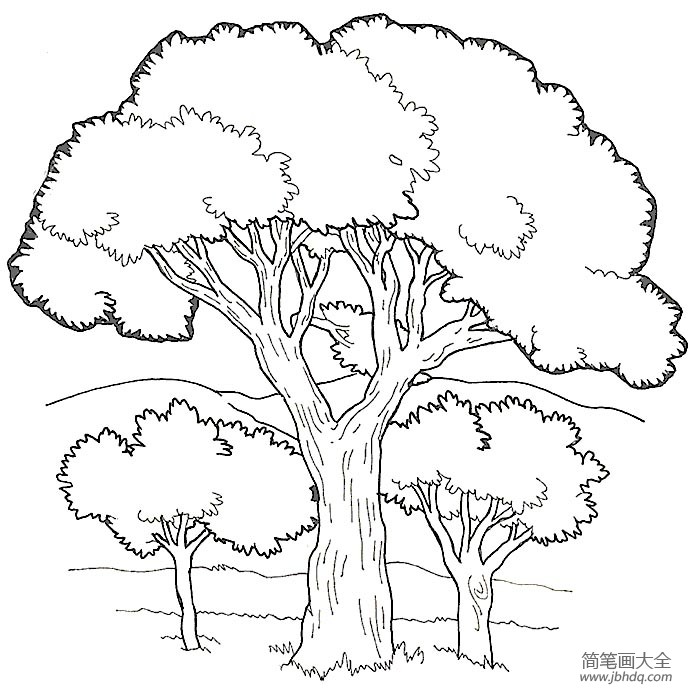 茂密的树简笔画图片