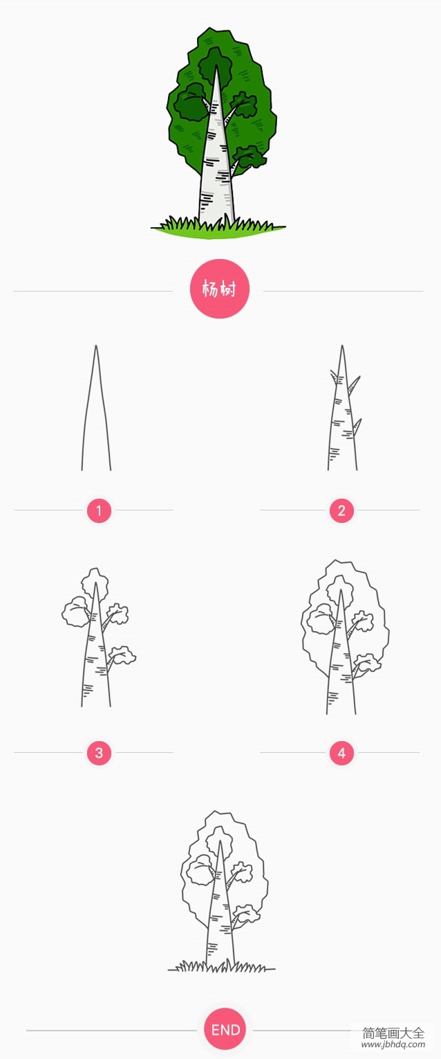 杨树怎么画简单图片