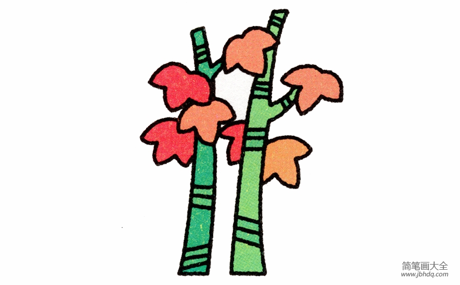 春天的枫树简笔画图片