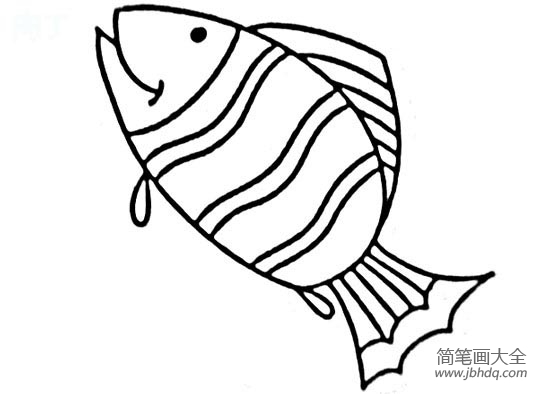 黄尾副刺尾鱼简笔画图片