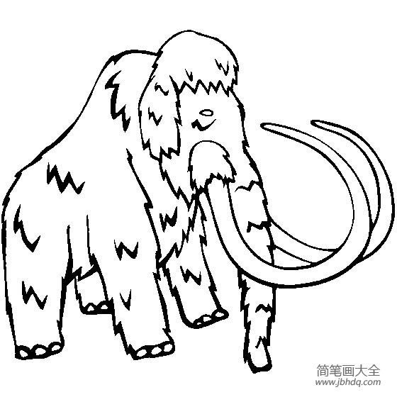 猛犸象简笔画帝国图片