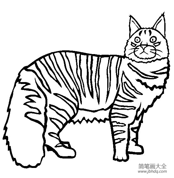 妖娆猫简笔画图片
