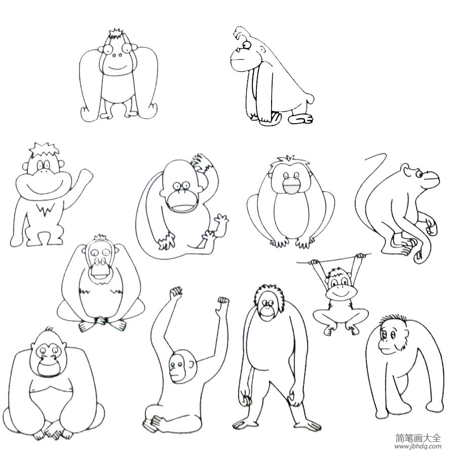 大猩猩画法简笔画图片图片