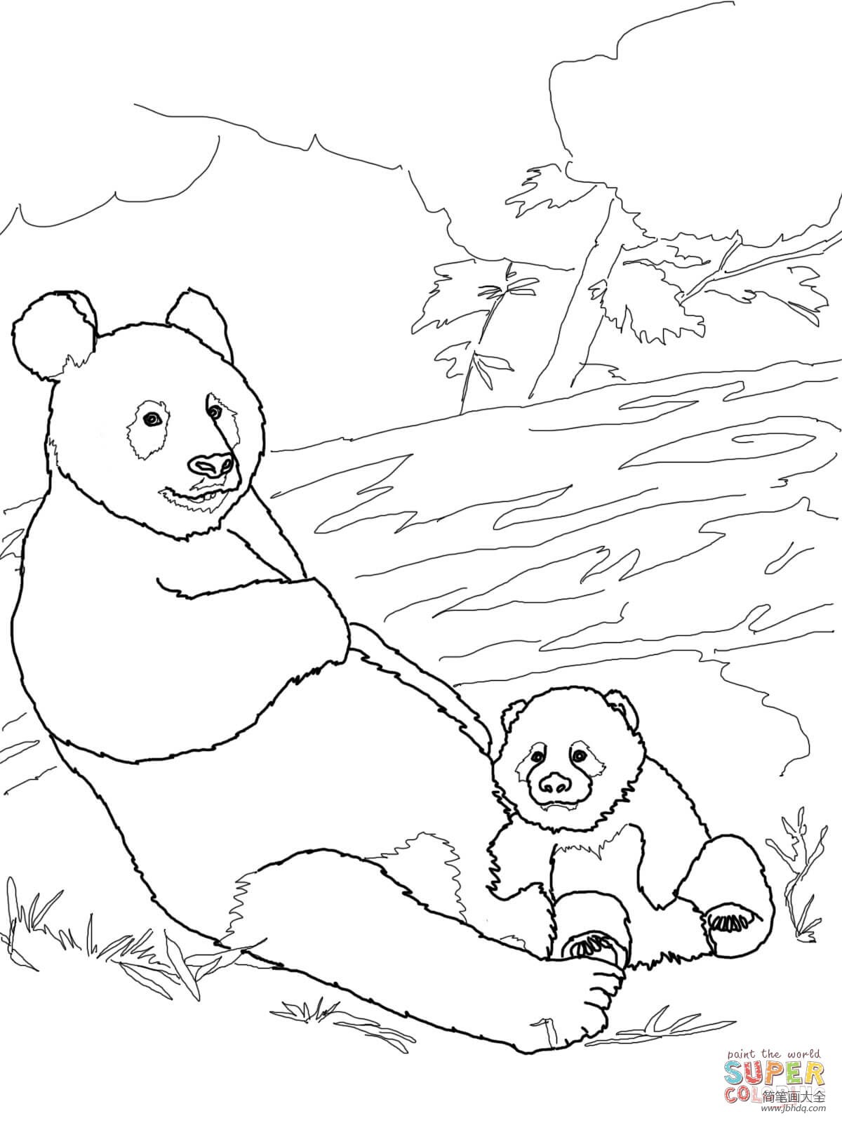 一起来看看了不起的熊猫妈妈_北京时间