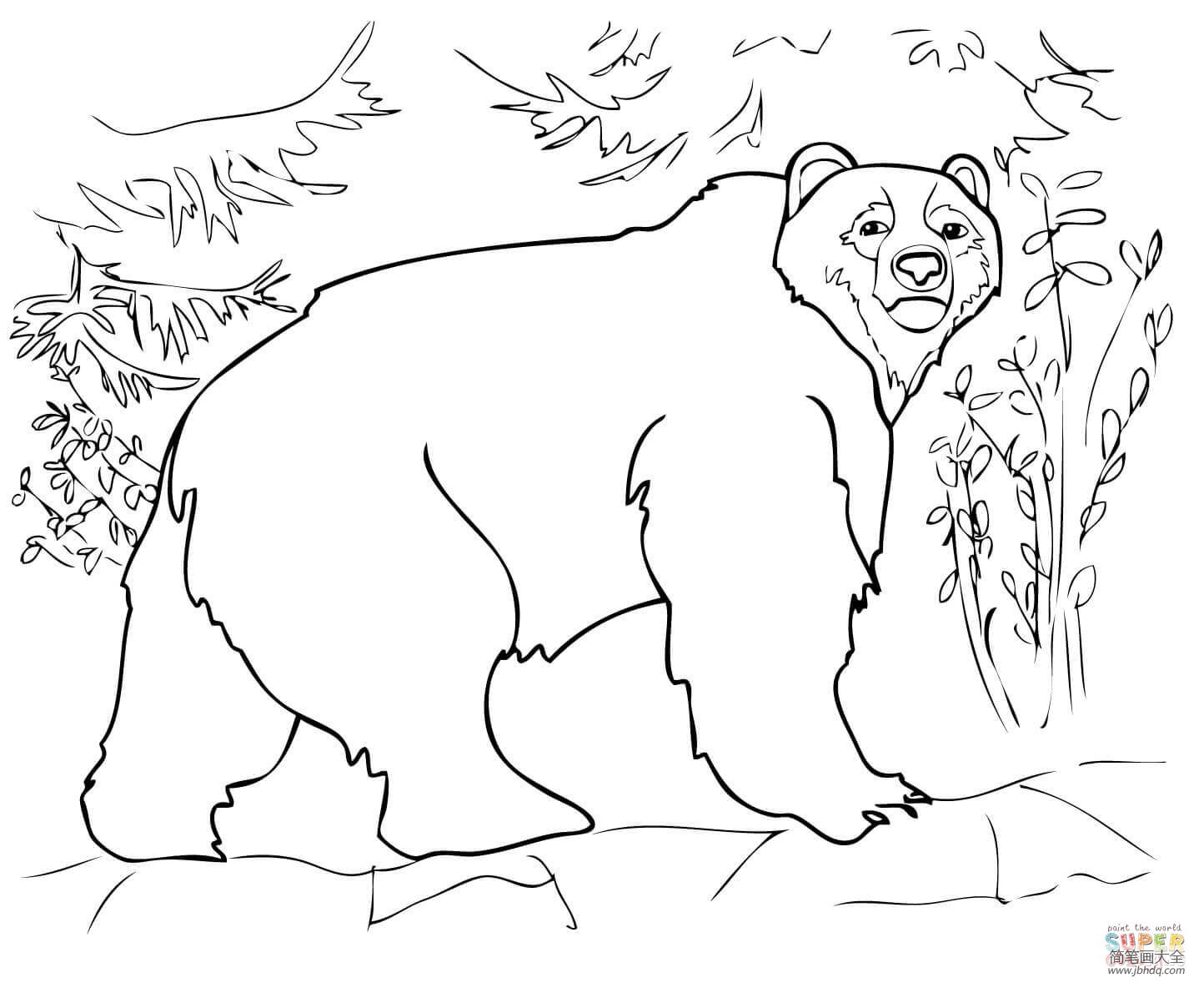 俄罗斯棕熊简笔画图片
