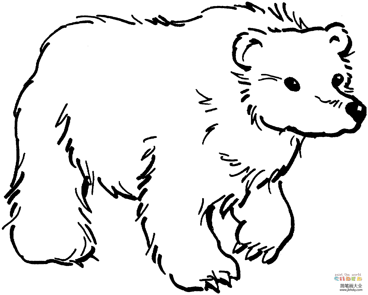 棕熊简笔画可怕图片