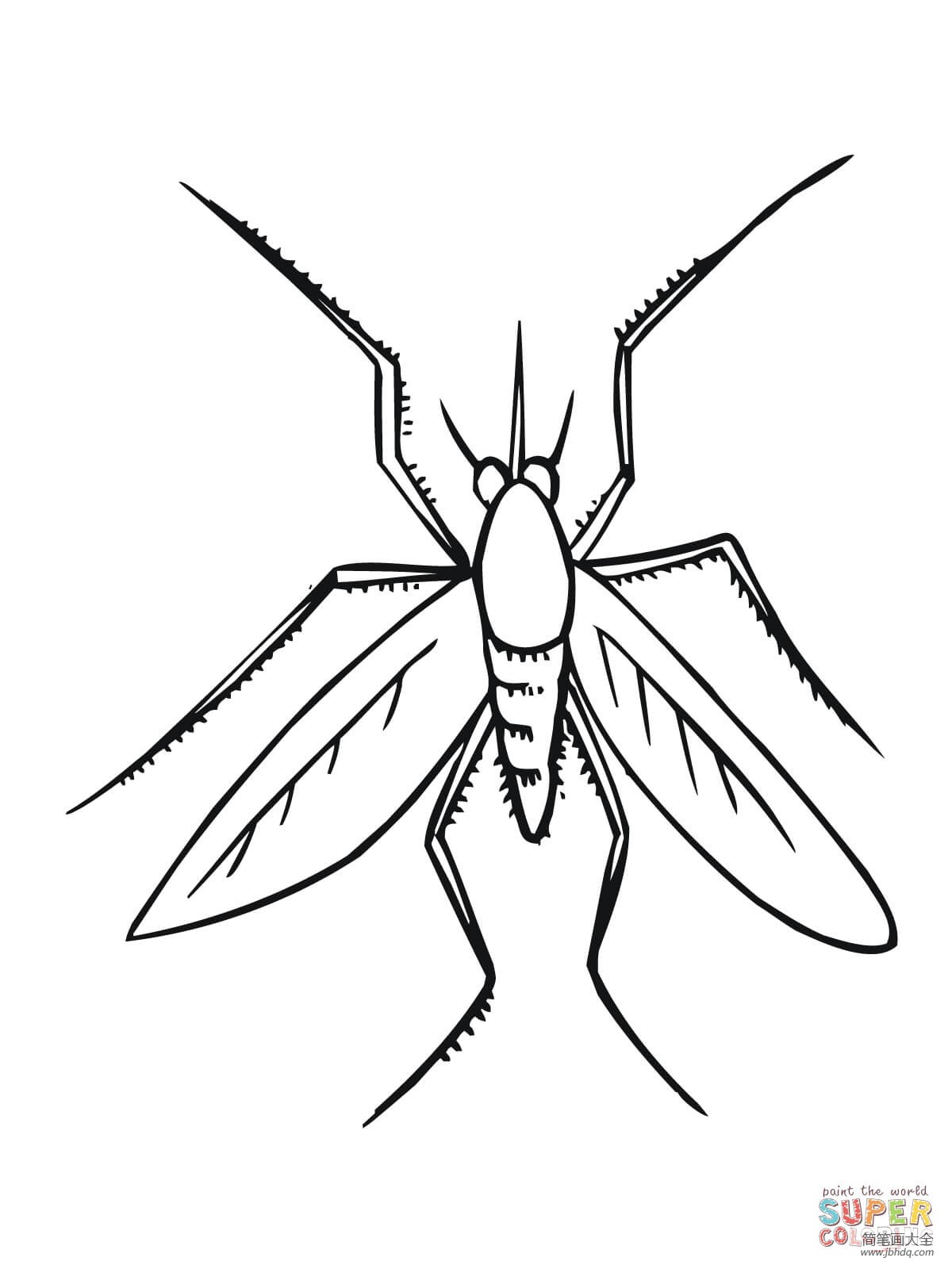 蚊子简笔画画法图片