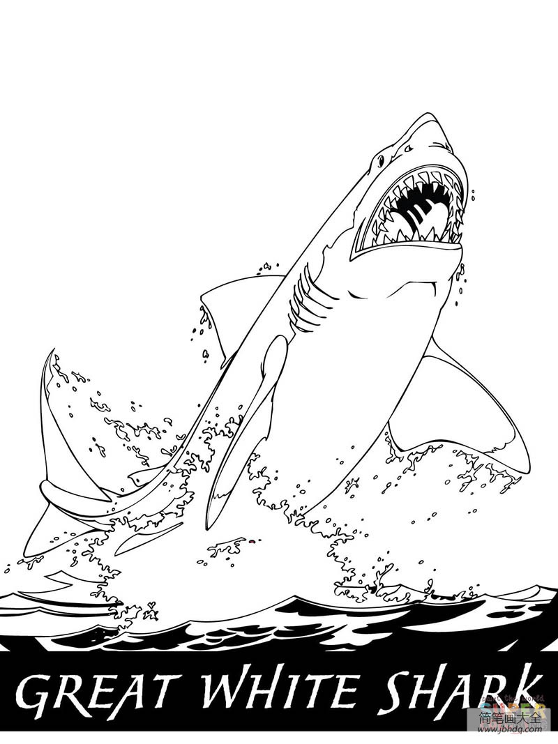 最难画的巨齿鲨图片图片