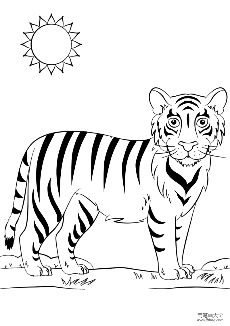 老虎的画法 简单 霸气图片