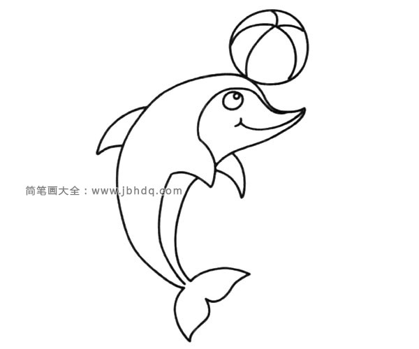 海豚玩球图片简笔画图片