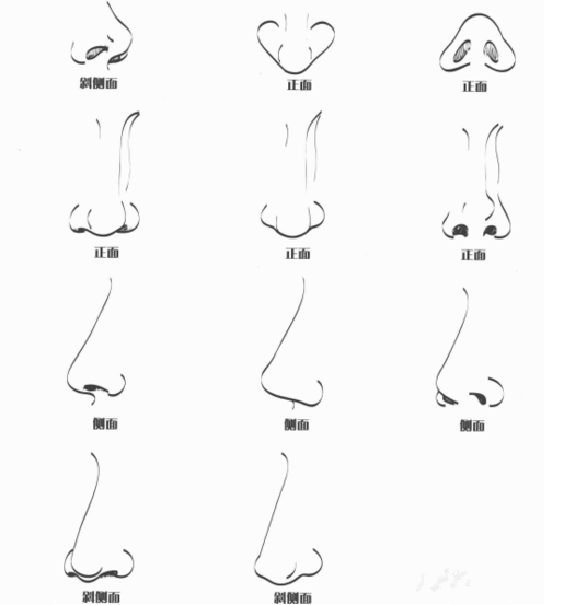 动漫鼻子素描图片