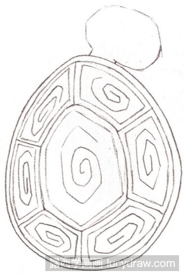 乌龟壳的画法图片